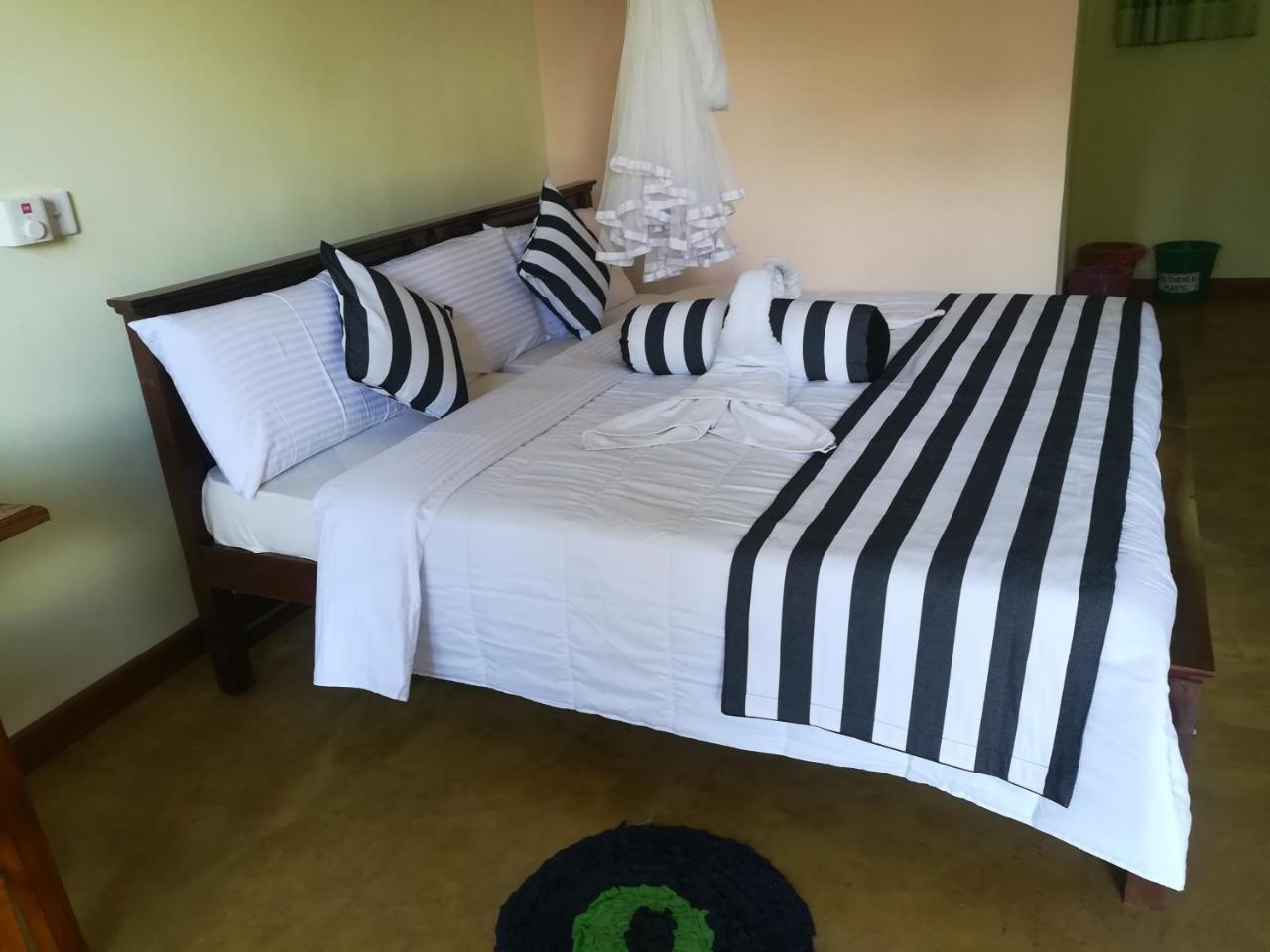 Dinaro Guest Otel Procida Oda fotoğraf